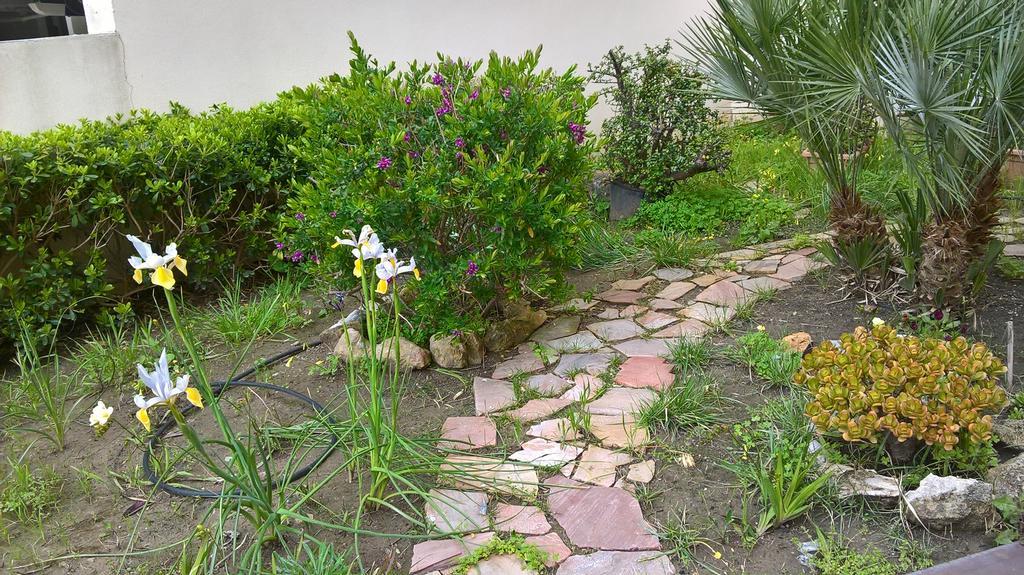 Appartamento Tulipano Alghero Exterior foto